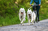 Non-Stop Dogwear Bike Antenna KLICKfix